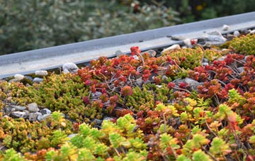 the cost of Startley green roof installation