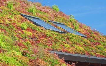 Startley living roof systems