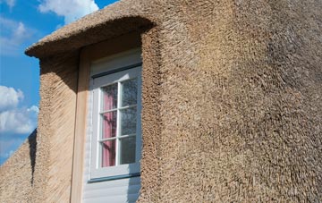 Startley thatch roof disadvantages