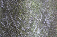 Startley fibreglass roof work